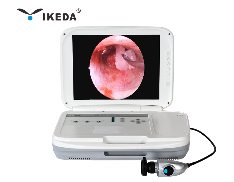 Portable Endoscope Camera