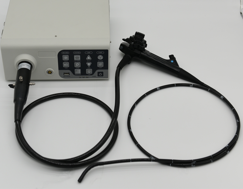 What is the principle of electronic endoscope imaging?