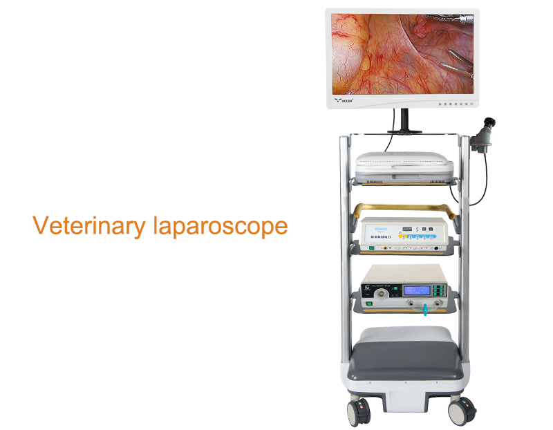 Composition and application of veterinary laparoscopy