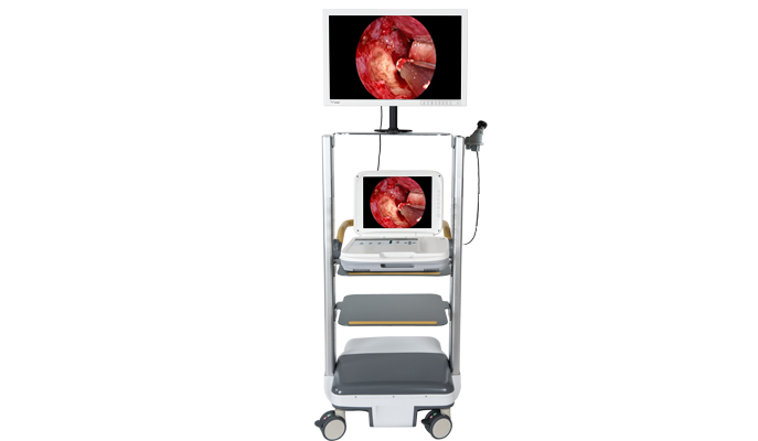 Medical Endoscopic Imaging System
