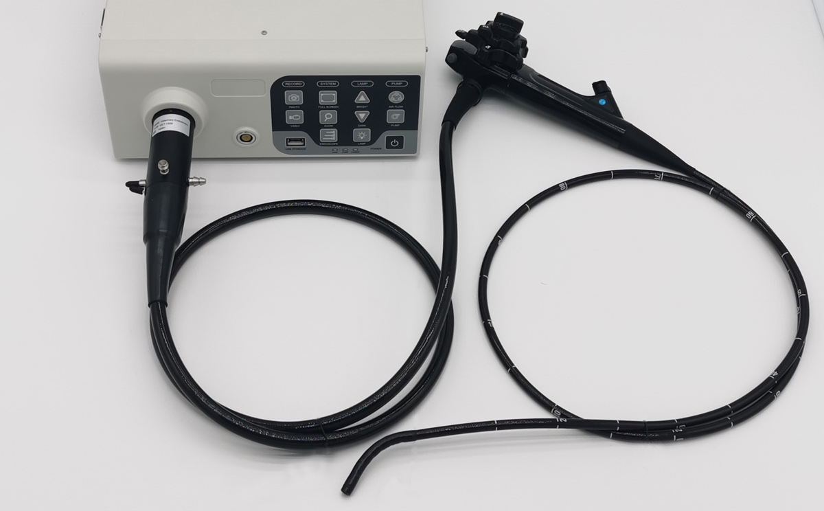 Veterinary Endoscope