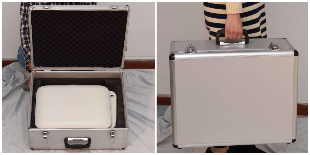 Portable ENT endoscope camera system