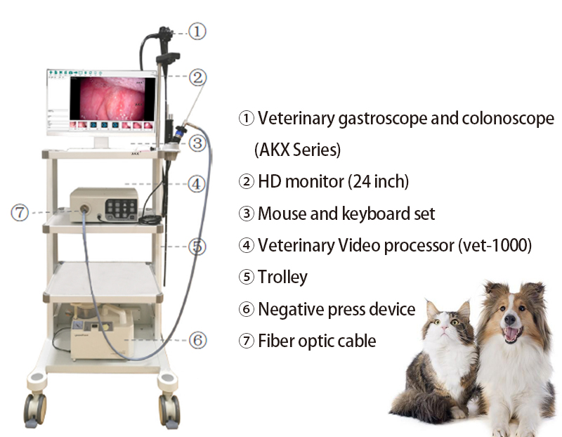 How much does an endoscopy cost for a dog