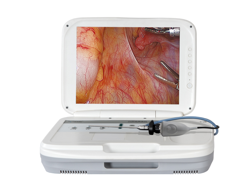 endoscopic camera system