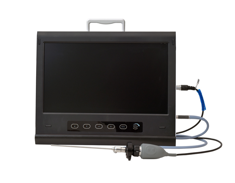 Veterinary endoscope