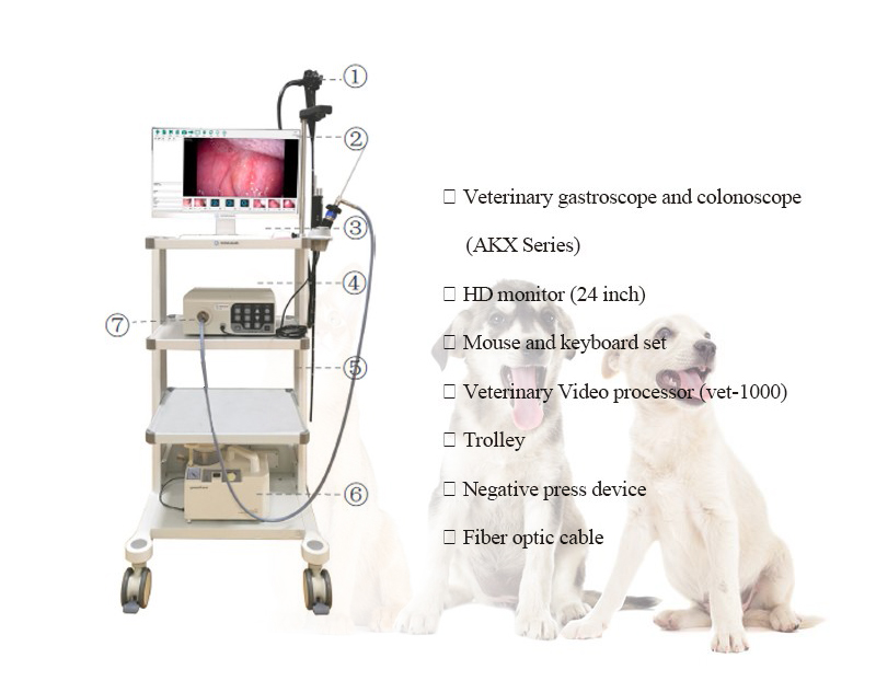 veterinary endoscope