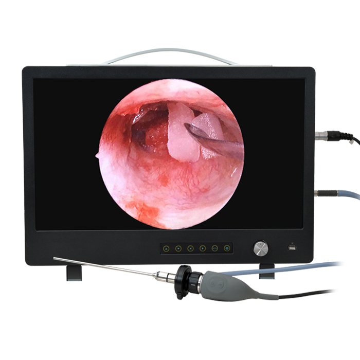 endoscope camera