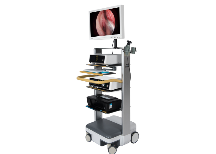 HD Endoscopic Camera System