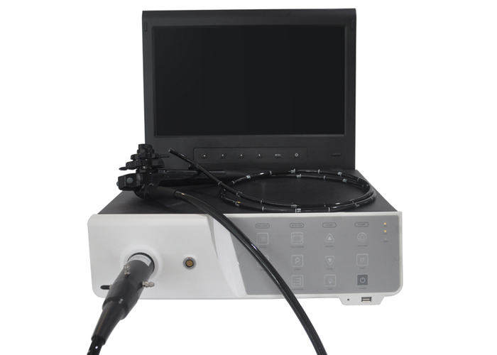  Veterinary Endoscope