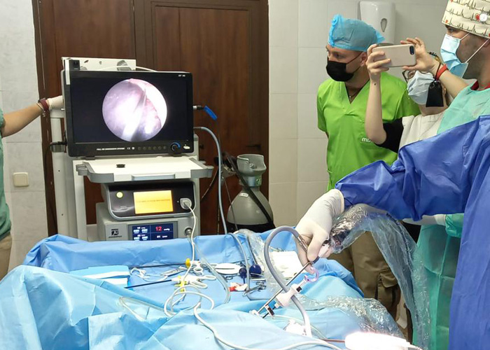 Application Of Veterinary Laparoscope In Animal Reproduction