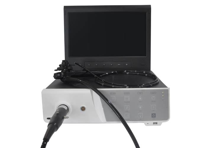 Veterinary Electronic Gastroscope