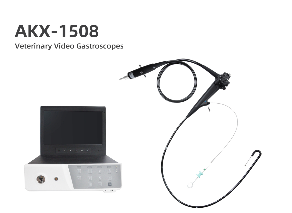 Veterinary Video Gastroscopes AKX-1508