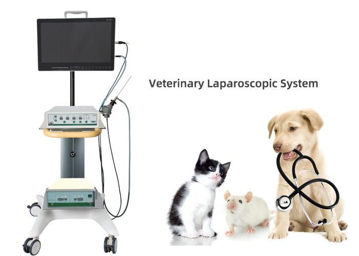 Veterinary Laparoscopic System