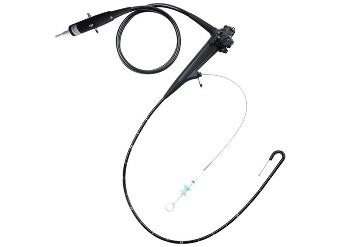 Examination of veterinary electronic gastroscope