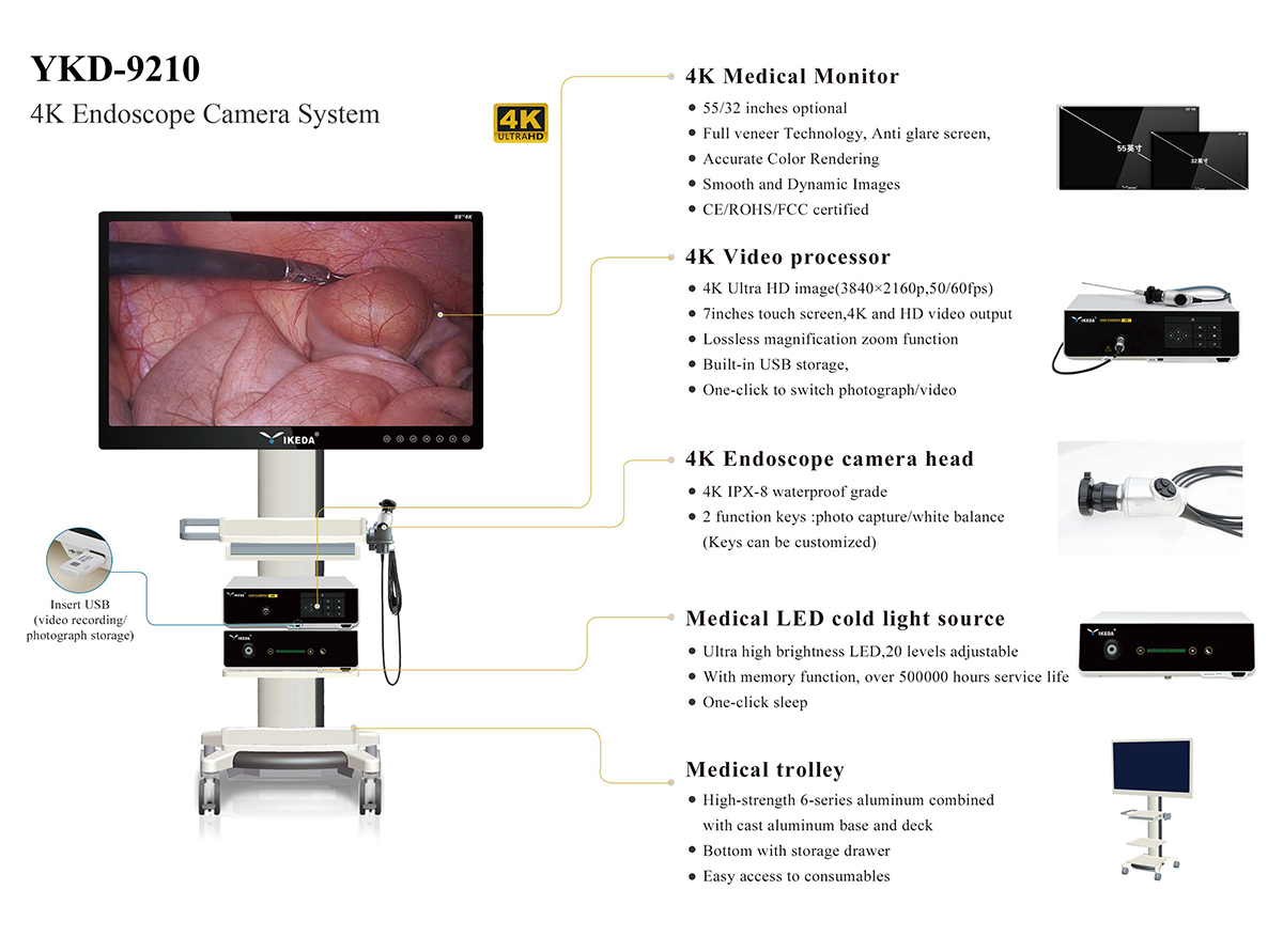 Clinical application of 4K medical endoscope camera system in otolaryngology