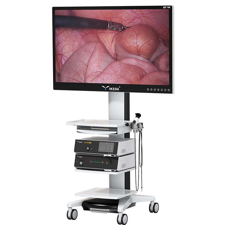 endoscope monitor