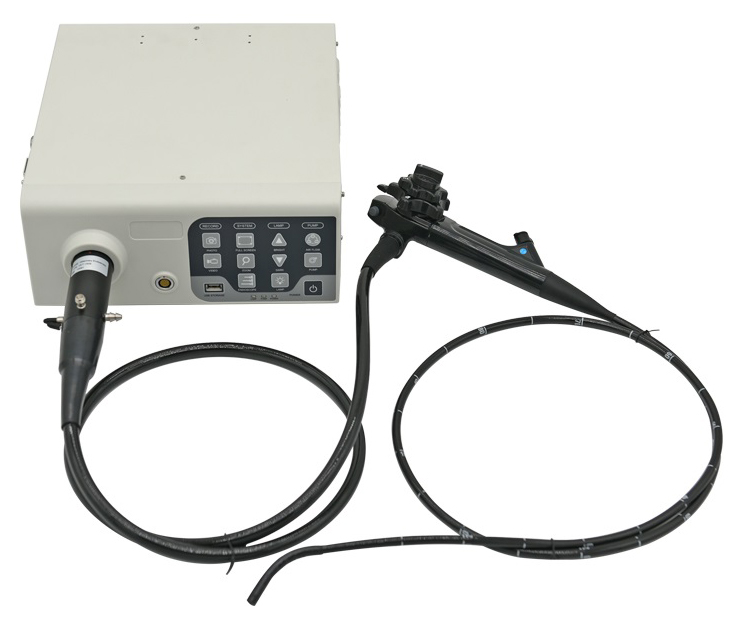 veterinary gastroenteroscope