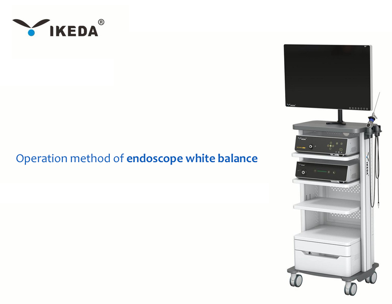 Operation method of endoscope white balance