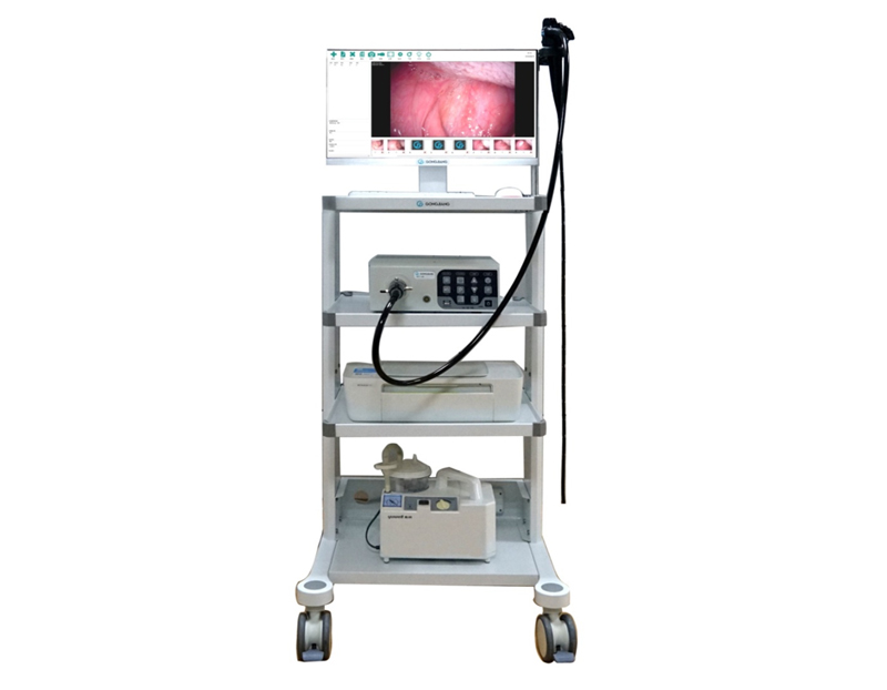 VET-1000 Veterinary Video Endoscopy system