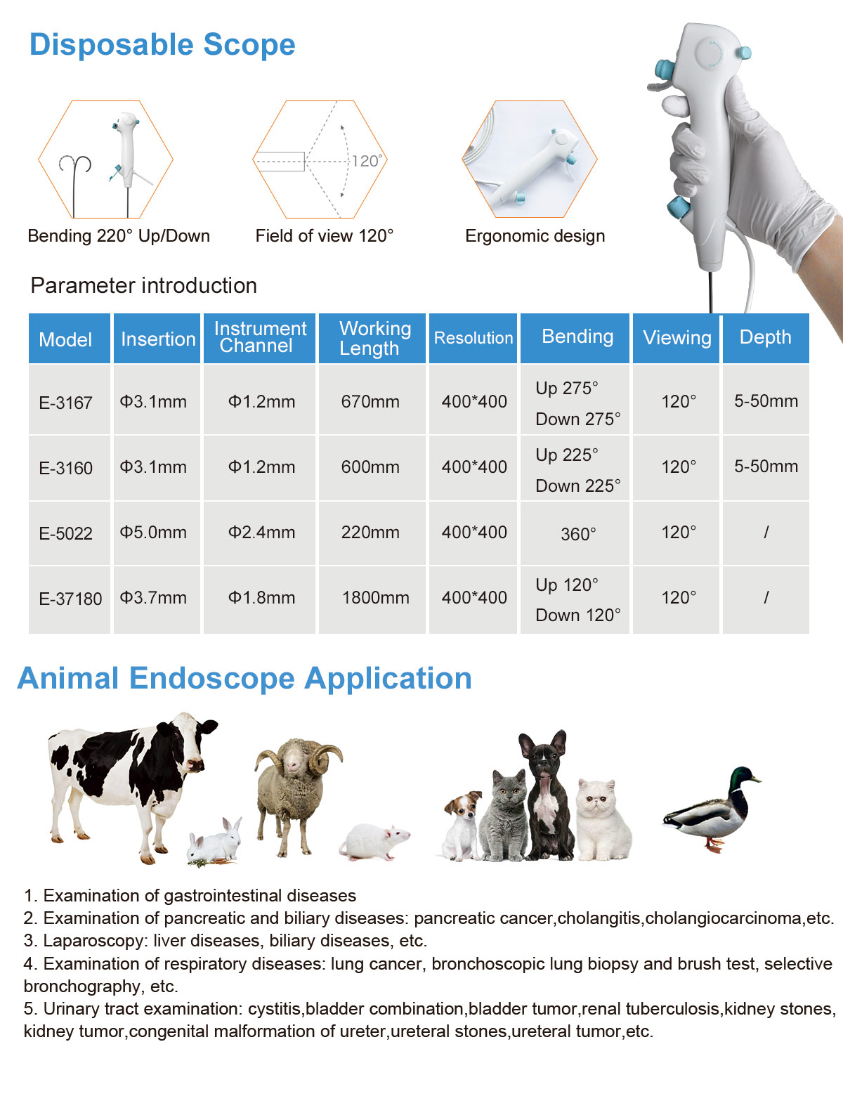 AKX-9285H Veterinary Endoscope System