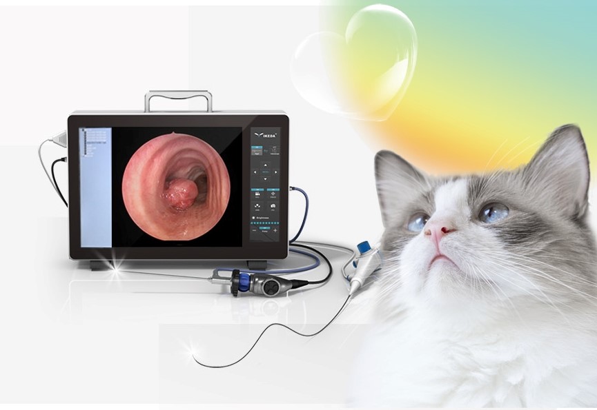 Advancing Veterinary Surgeries: Laparoscopic Spay vs. Traditional Spay