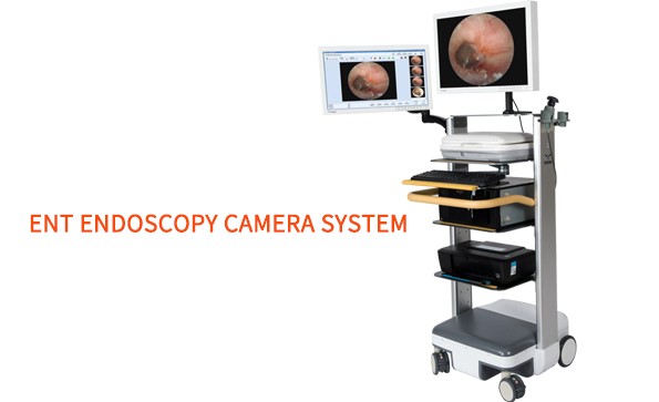 The principle and clinical application of ENT endoscope