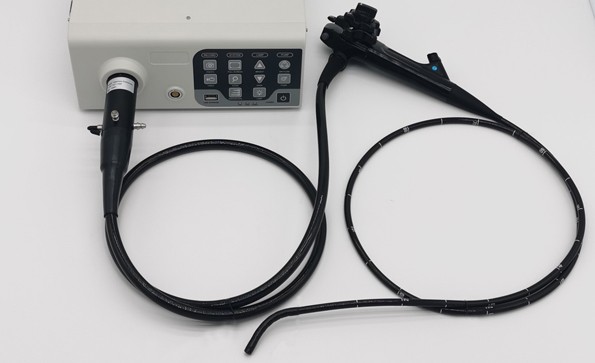 What is the principle of electronic endoscope imaging?