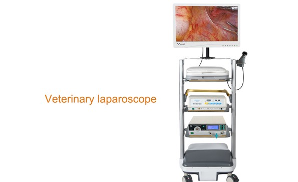 Composition and application of veterinary laparoscopy
