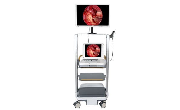 The Composition Of Medical Endoscopic Imaging System