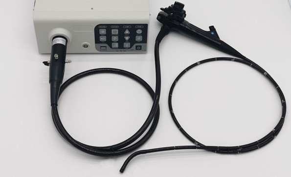 Veterinary Endoscope Manufacturers Introduce You To The Role Of Digestive System Endoscope