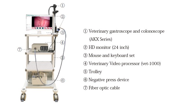 How much does an endoscopy cost for a dog