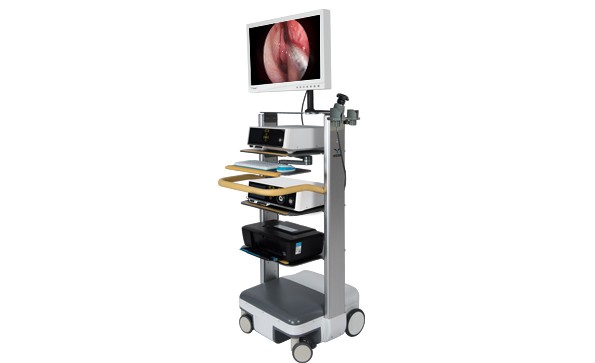 What does the HD Endoscopic Camera System include