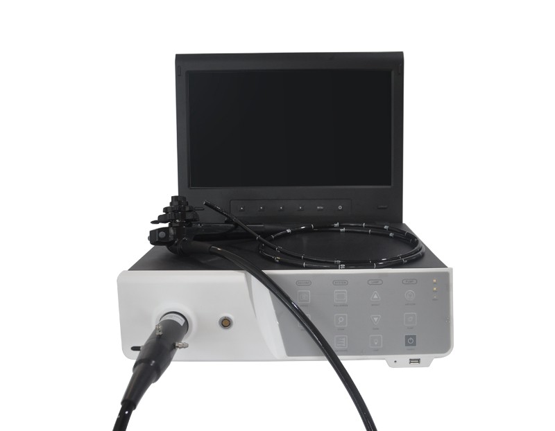 VET-1000 Veterinary Video Endoscopy system