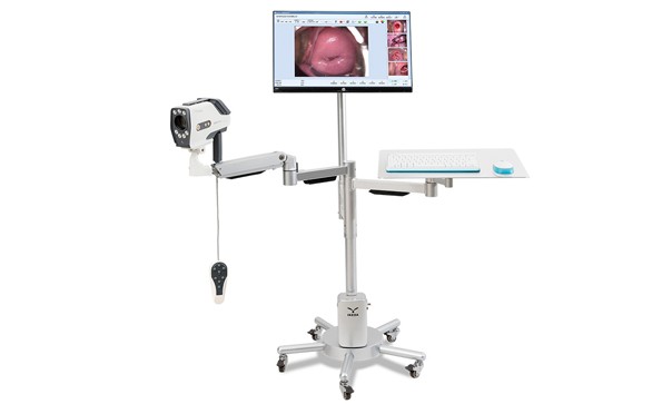 Are Colposcopy And Vaginal B-ultrasound the same kind of examination?