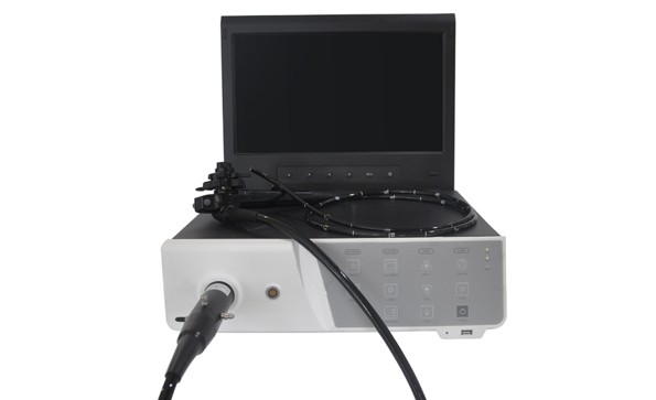 Application of Veterinary Electronic Gastroscope in Dogs and Cats Clinic
