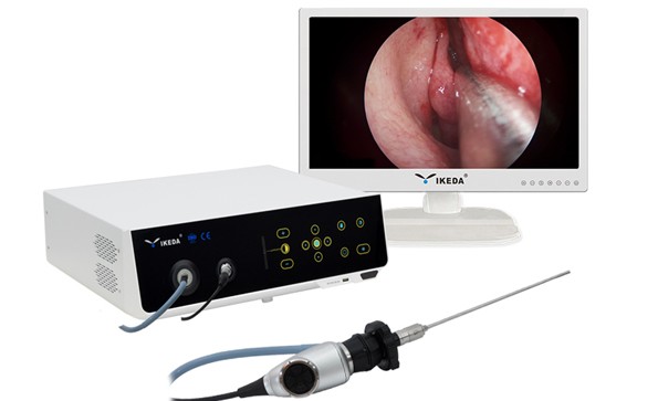 【ENT Endoscopy】Nasal Septum Correction under Nasal Endoscope