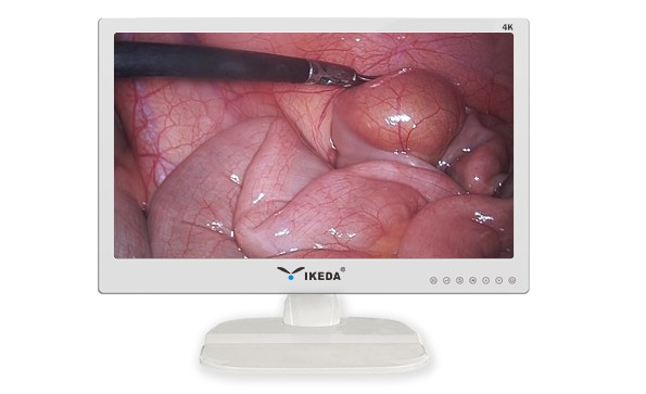 Debugging Method Of Medical Display