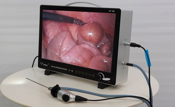 Application Of Veterinary Laparoscope in Goat Bladder Operation