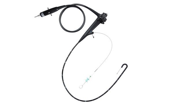 New product：Veterinary Video Gastroscopes AKX-1508