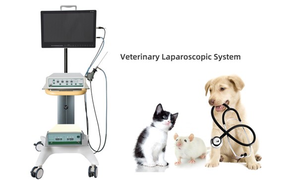 Veterinary Laparoscopy System