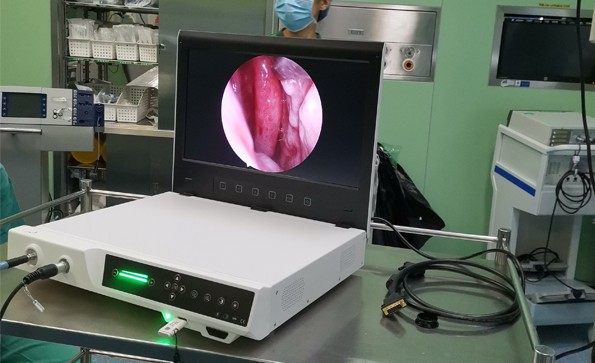 【Gynecological endoscopy】Application of hysteroscopy in the field of gynecology