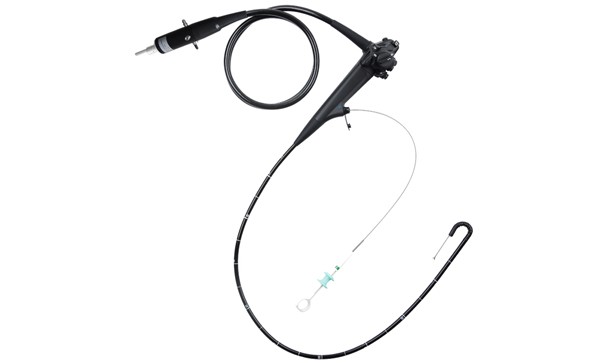 Examination of veterinary electronic gastroscope