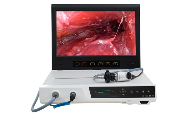 Application of endoscopic technique in maxillofacial and neck