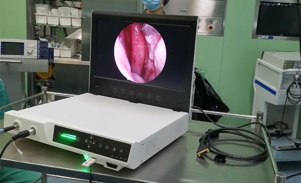 Clinical application of YKD-9101 portable endoscope camera system in otolaryngology