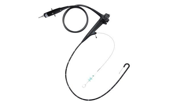 Cleaning and disinfection of veterinary gastroenteroscope