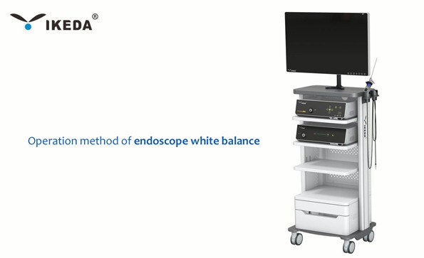 Operation method of endoscope white balance