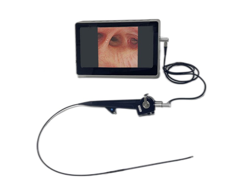 AKX-0603 Portable Veterinary Flexible endoscope