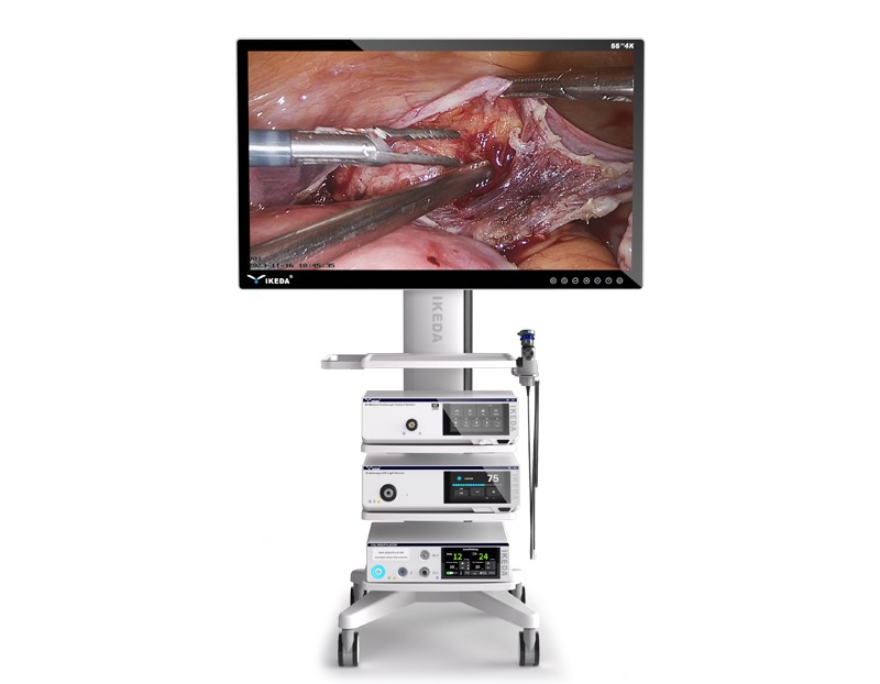 Laparoscopy camera sysytem