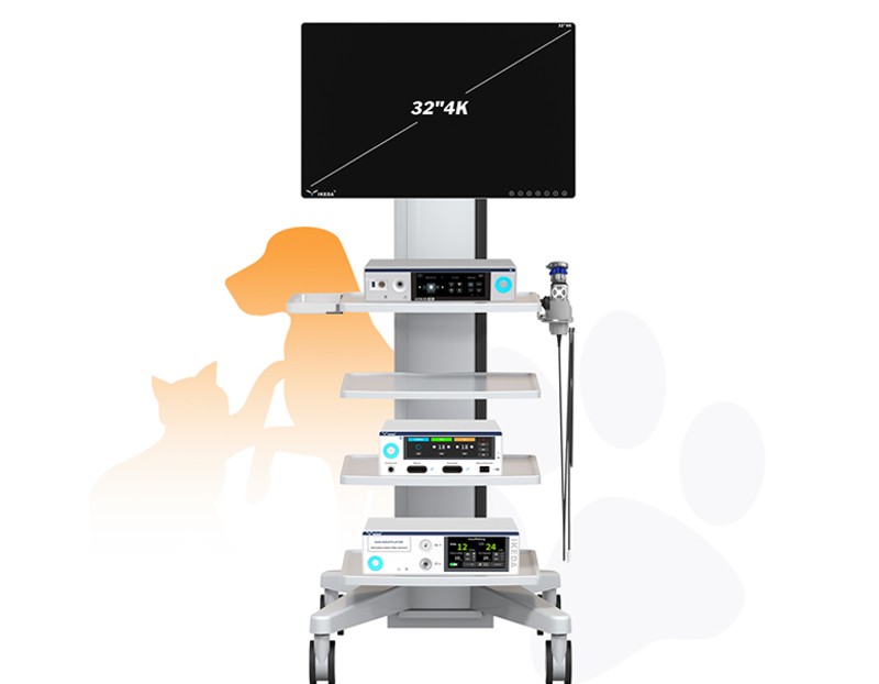 YKD-9610 Veterinary 4K Endoscopy System