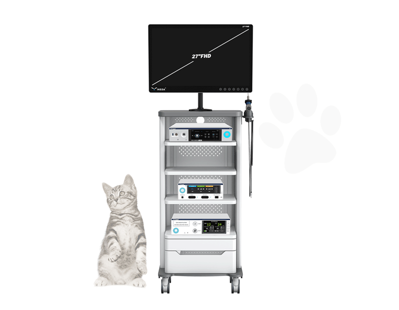 YKD-9620 FHD Veterinary Endoscopy Camera System